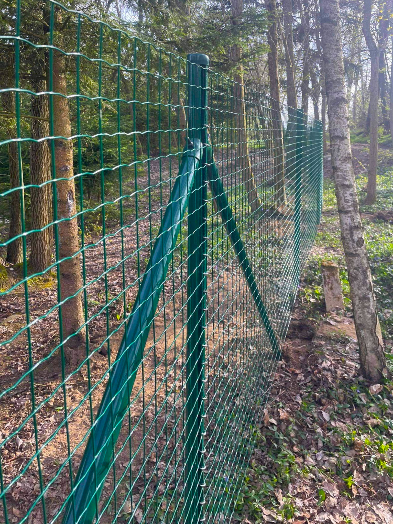 fa7769f9-fccd-4e68-852f-9f13c69e5cb8